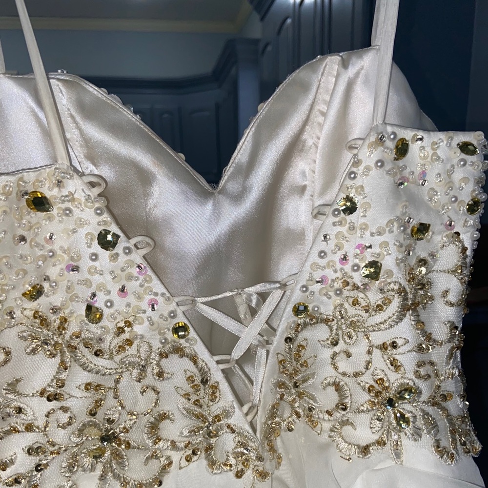 Prom/Event Dress - Picture 5 of 6